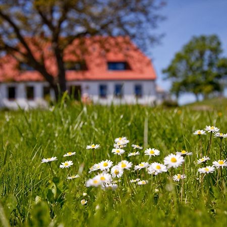 Gutshaus Ketelshagen Hotell Putbus Exteriör bild