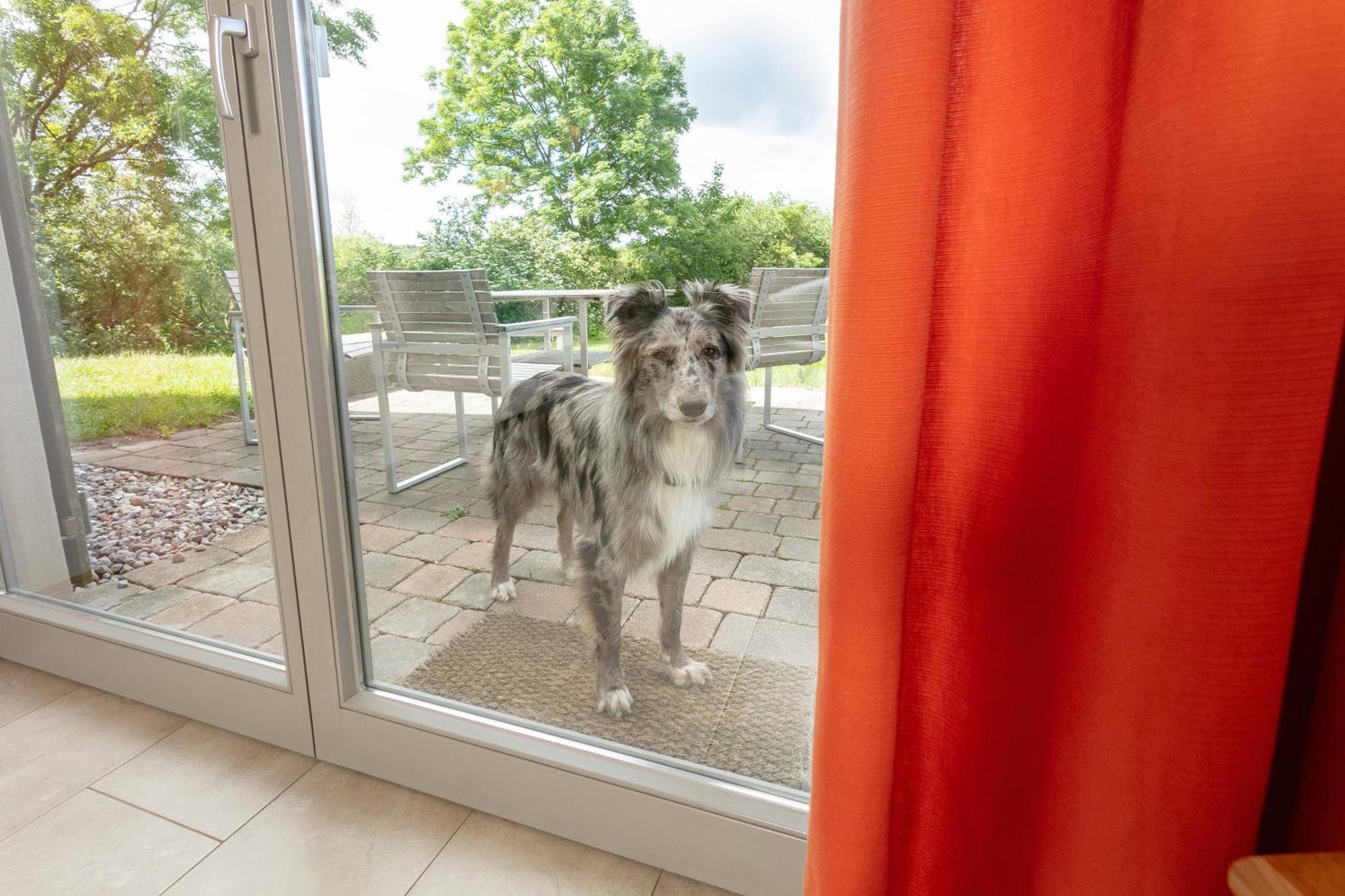 Gutshaus Ketelshagen Hotell Putbus Exteriör bild