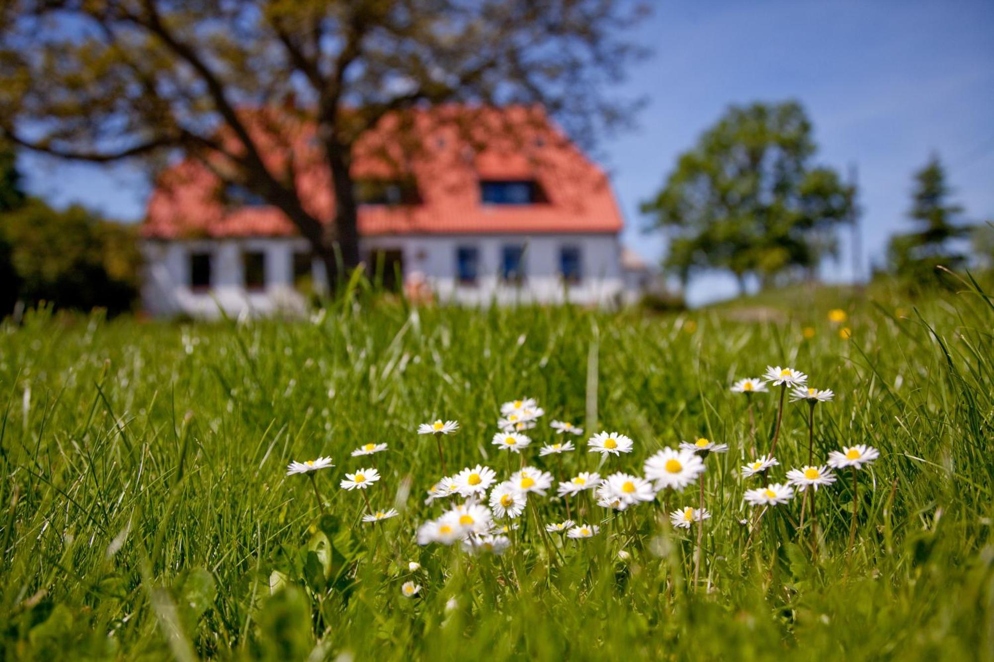 Gutshaus Ketelshagen Hotell Putbus Exteriör bild