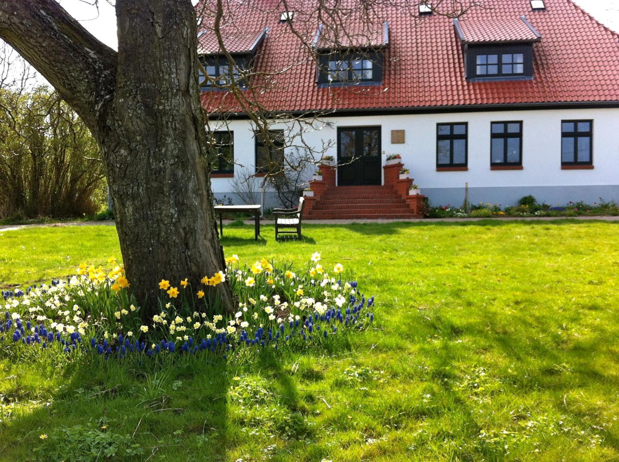 Gutshaus Ketelshagen Hotell Putbus Exteriör bild